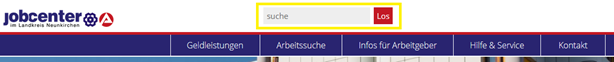 Suchfunktion der Homepage